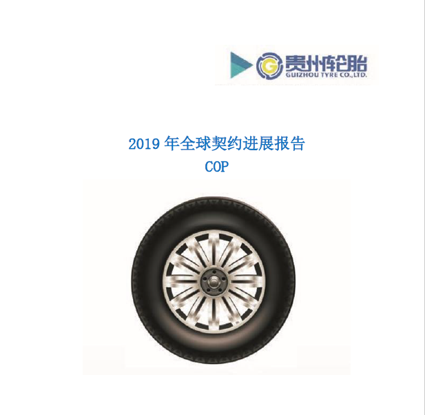 大小单双正规平台下载2019年全球契约年度进展报告COP