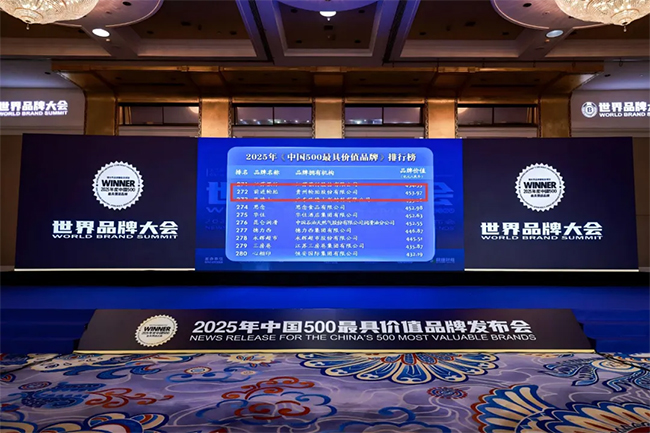 BG大游集团官网入口荣登 “中国 500 最具价值品牌”——灯塔工厂铸就前进品牌价值新高度